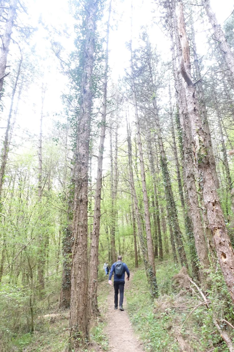 Fotos: Aitxita. La fortaleza de las Dos Hermanas