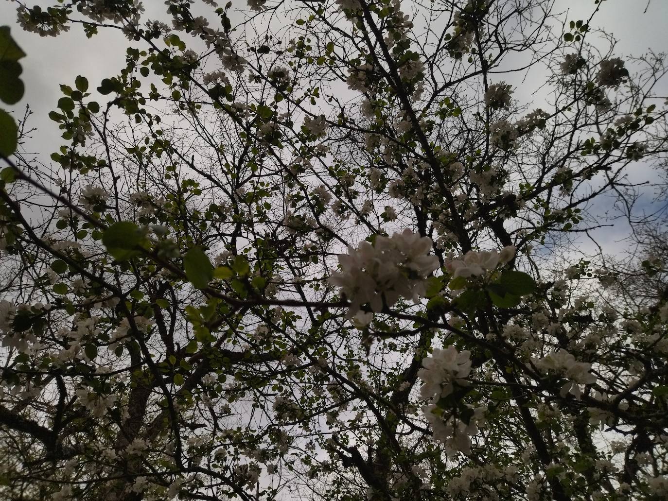 Fotos: Aitxita. La fortaleza de las Dos Hermanas