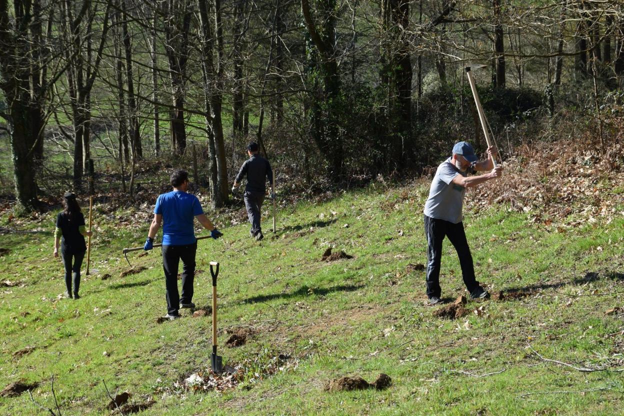 Personas o grupos que realicen actividades para mejora ambiental en el municipio pueden solicitarlas. 