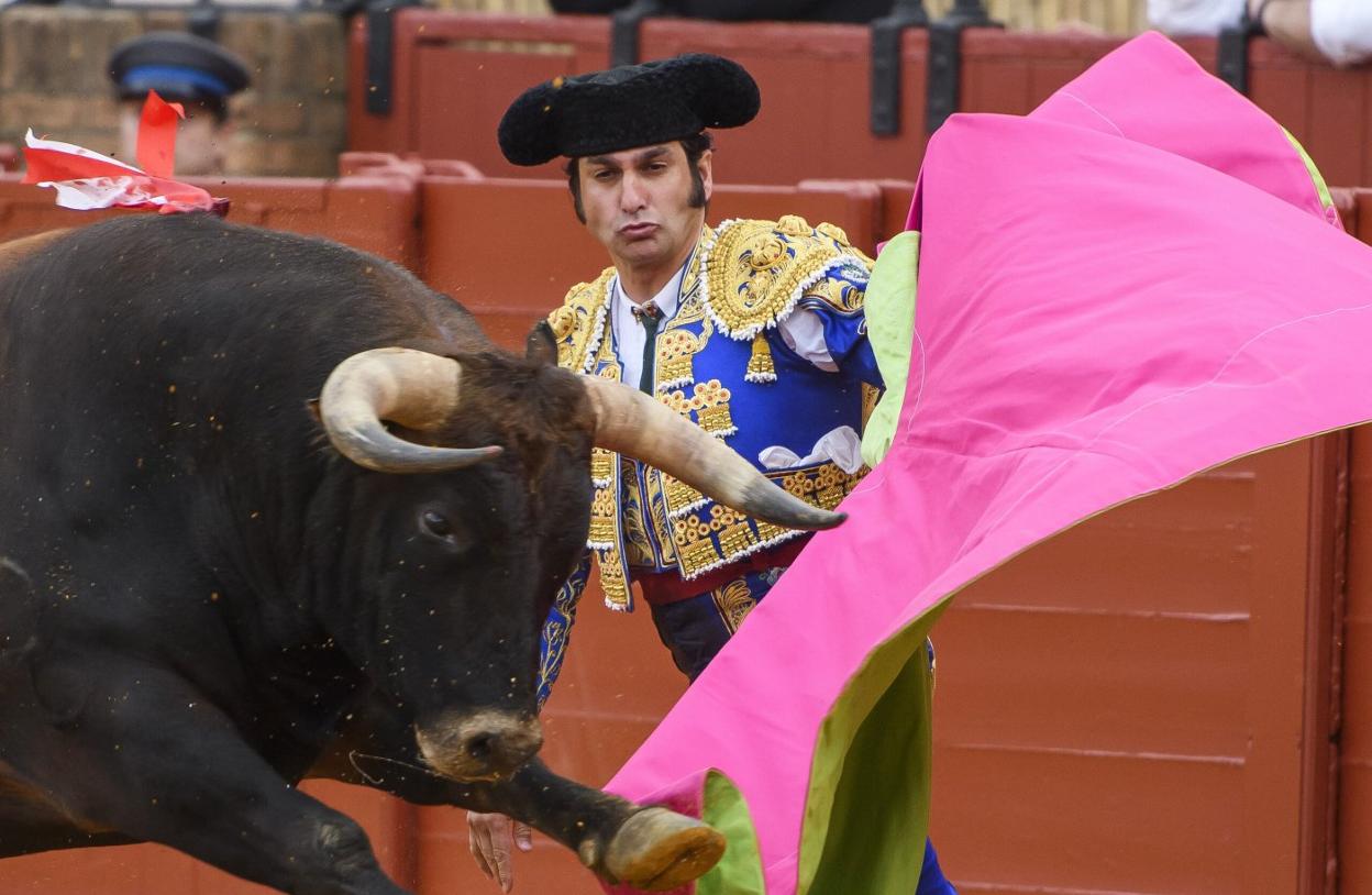 Morante de la Puebla acudirá por primera al ruedo azpeitiarra. 