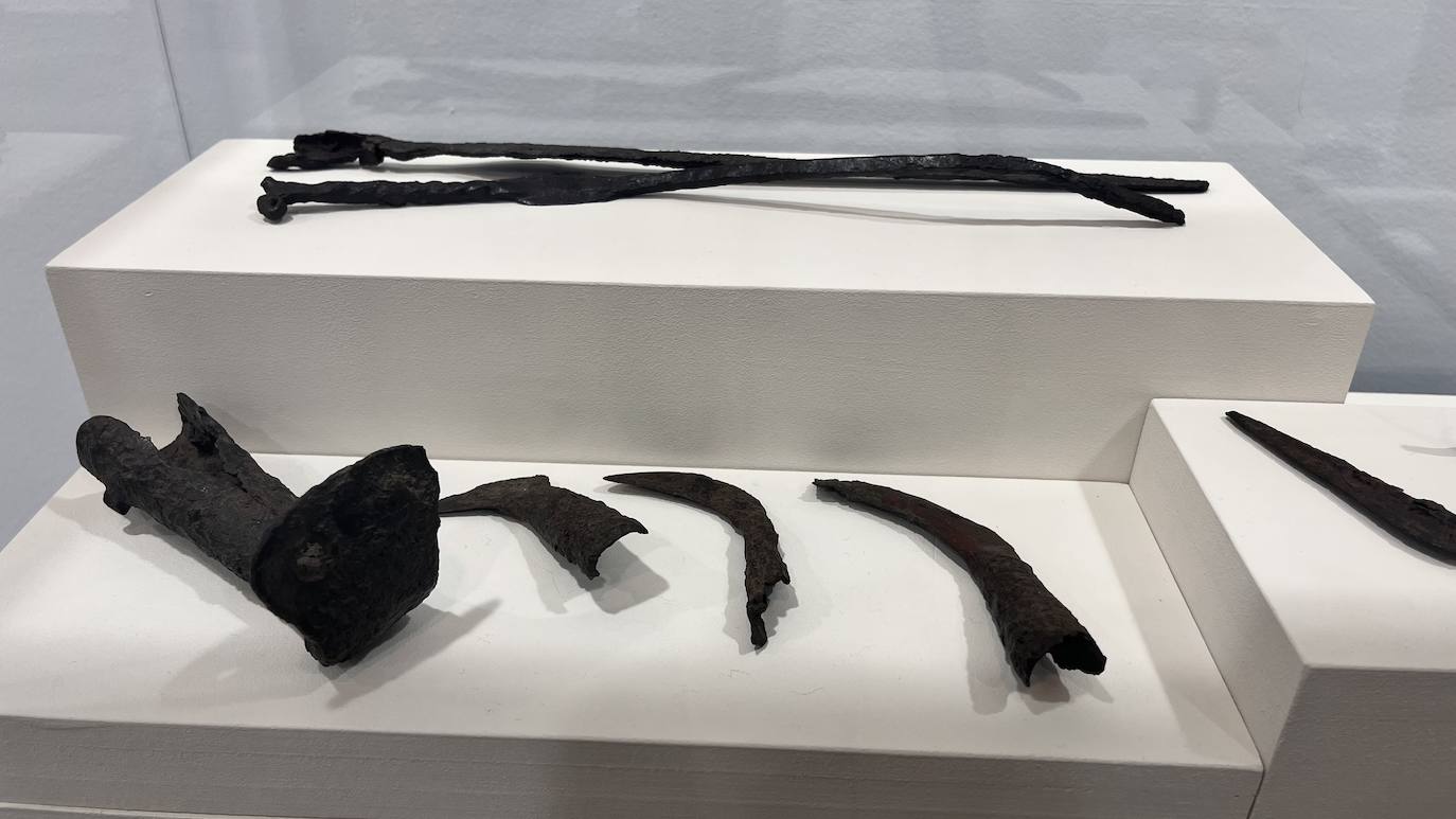 Fotos: El Museo Romano Oiasso homenajea a los &#039;gigantes&#039; de la arqueología vasca