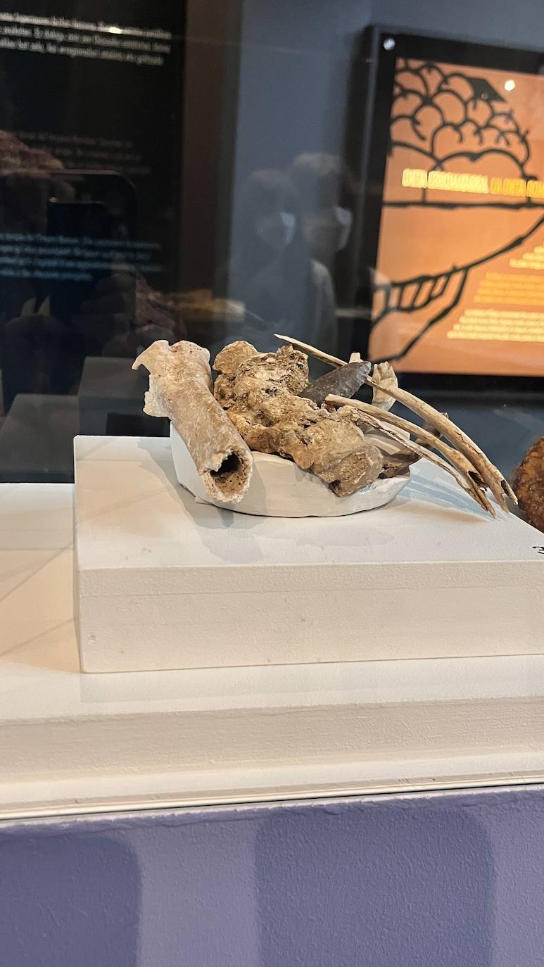 Fotos: El Museo Romano Oiasso homenajea a los &#039;gigantes&#039; de la arqueología vasca