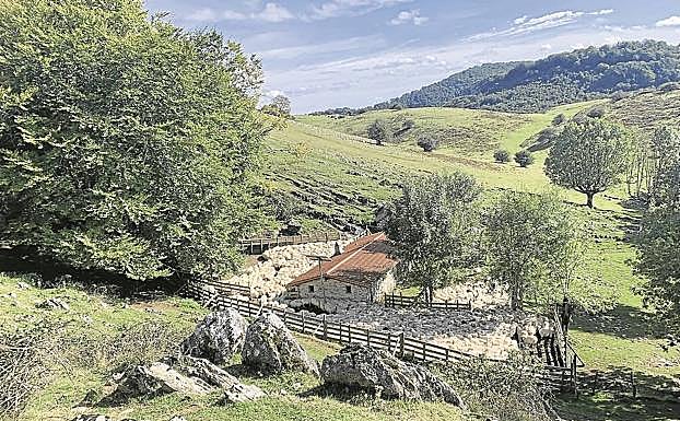 El rebaño del ezkioarra rodea la #txabola de Oidui, muy cerca de Alotza.