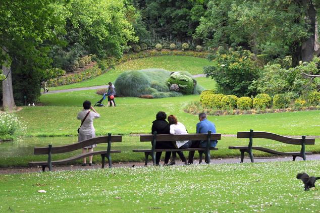 El jardín de las plantas