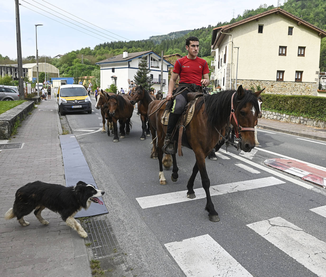 Fotos: Desde Azpeitia hasta Aralar para disfrutar de los pastos