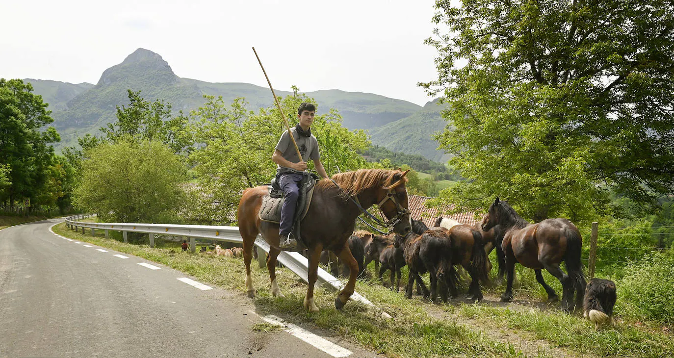 Fotos: Desde Azpeitia hasta Aralar para disfrutar de los pastos