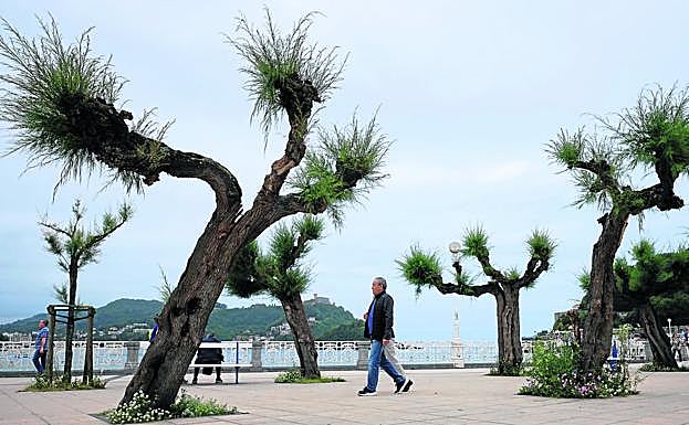 Nuevo fin de semana de calor intenso, con máximas de 35º en el interior de Gipuzkoa
