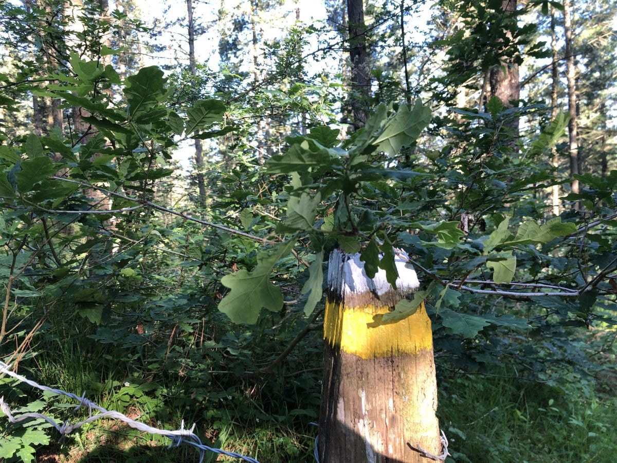 Fotos: Aitzorrotz, una cima con mucha historia