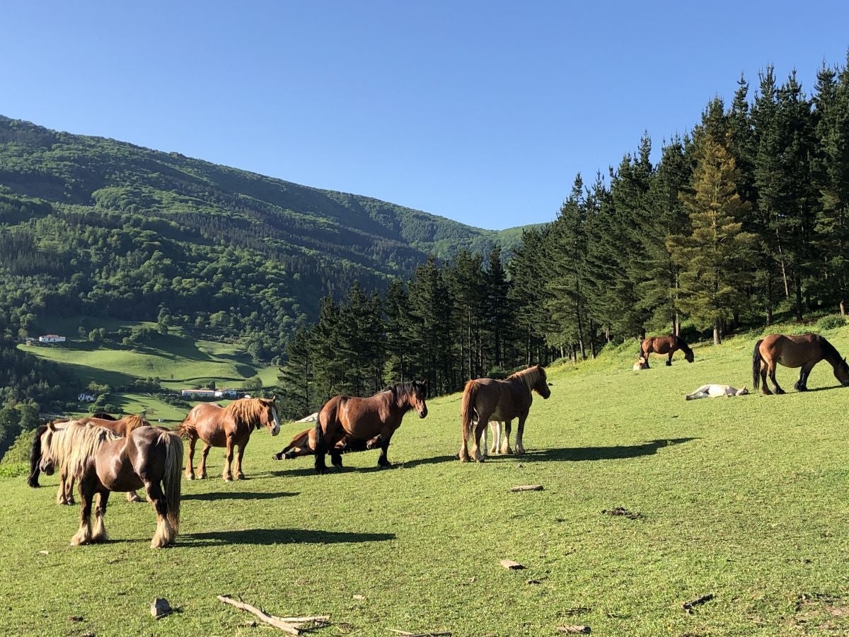 Fotos: Aitzorrotz, una cima con mucha historia