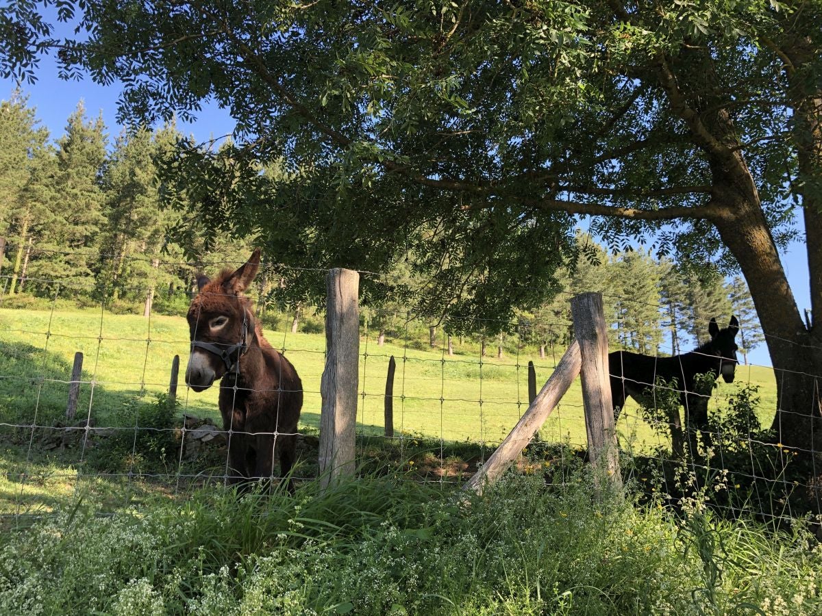Fotos: Aitzorrotz, una cima con mucha historia