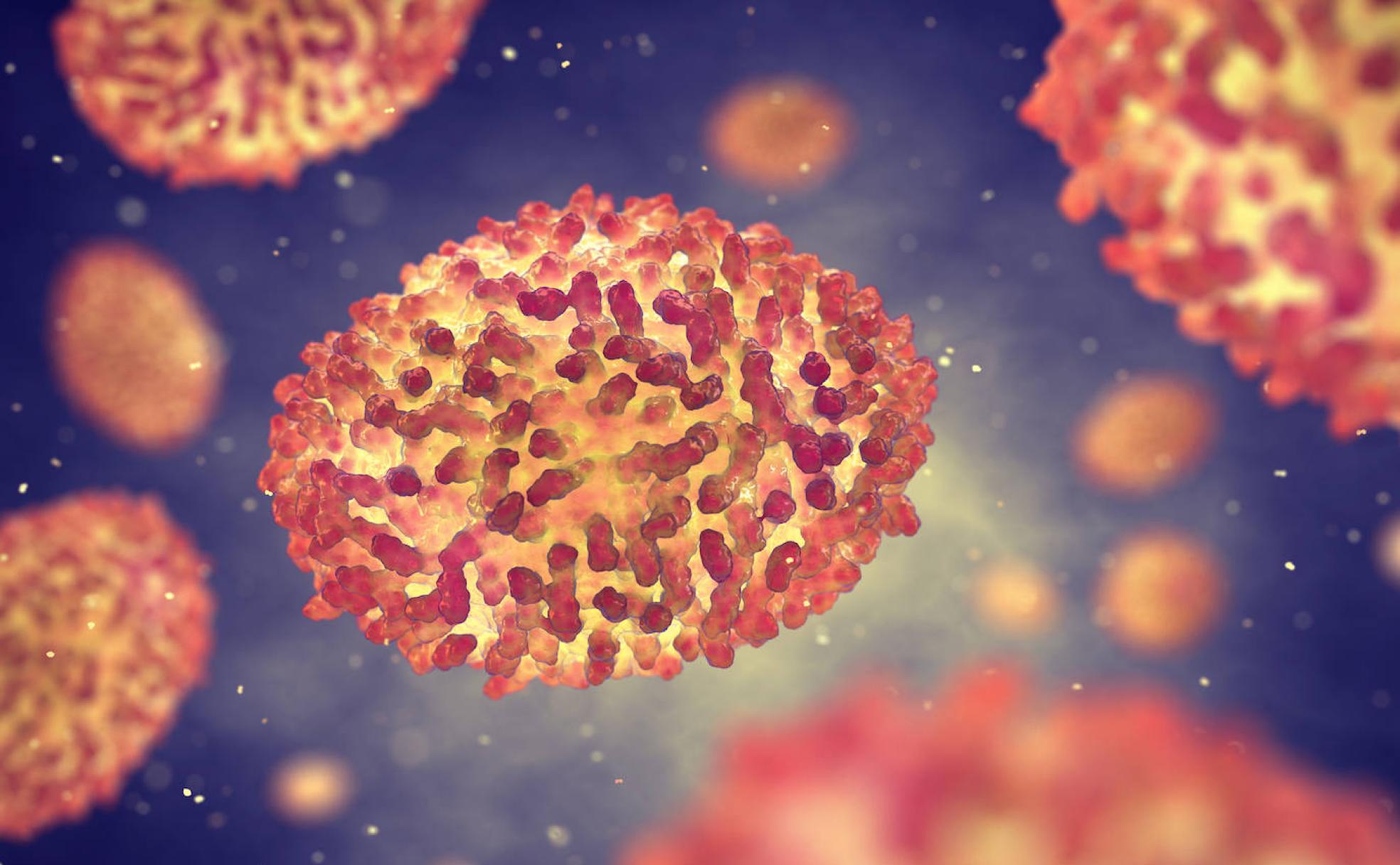 Virus de la viruela del mono