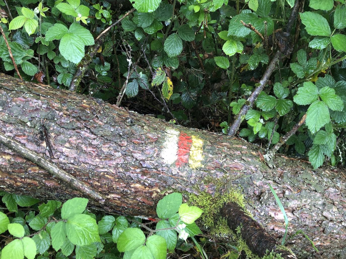 Fotos: Irukurutzeta, envuelta en un manto blanco