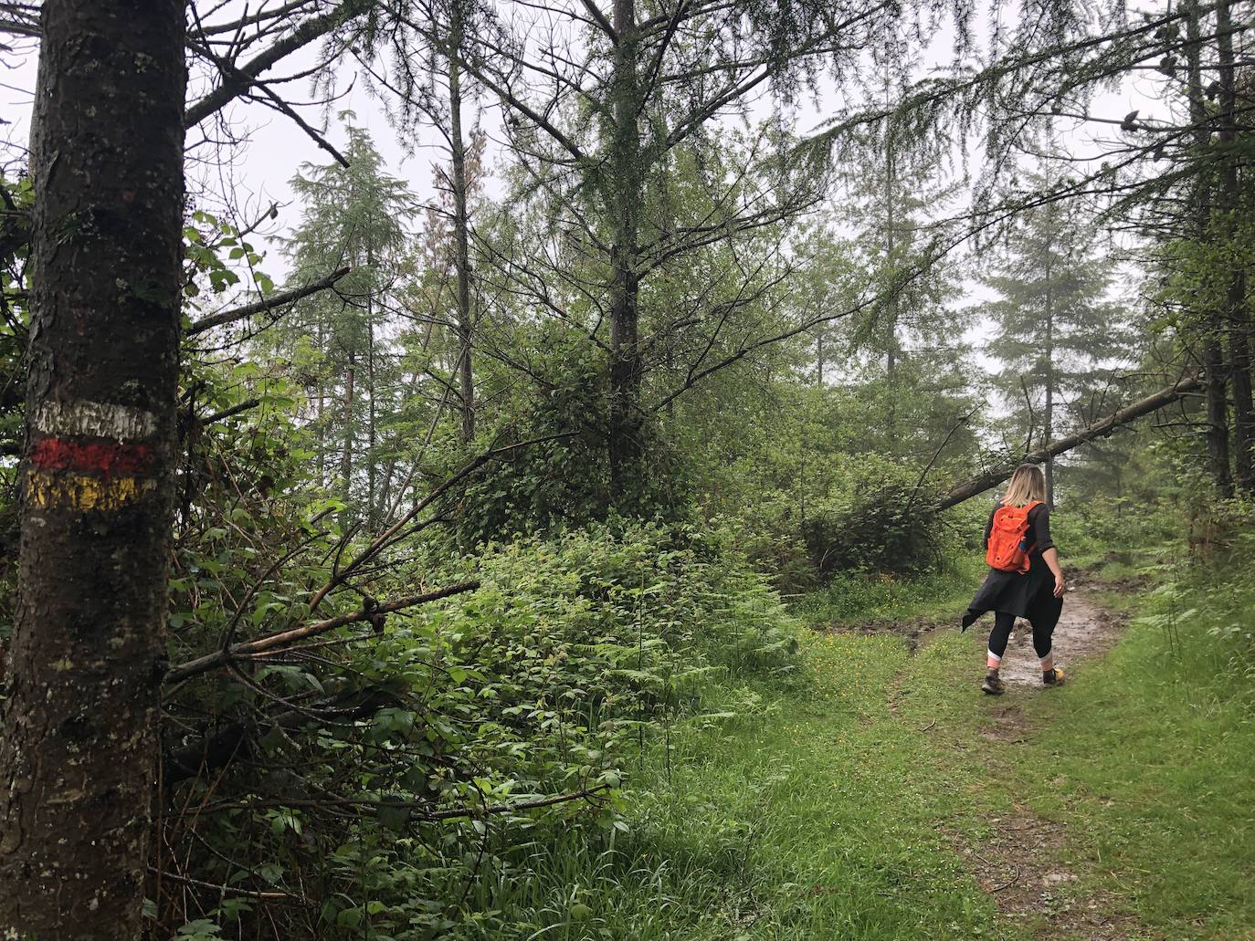 Fotos: Irukurutzeta, envuelta en un manto blanco