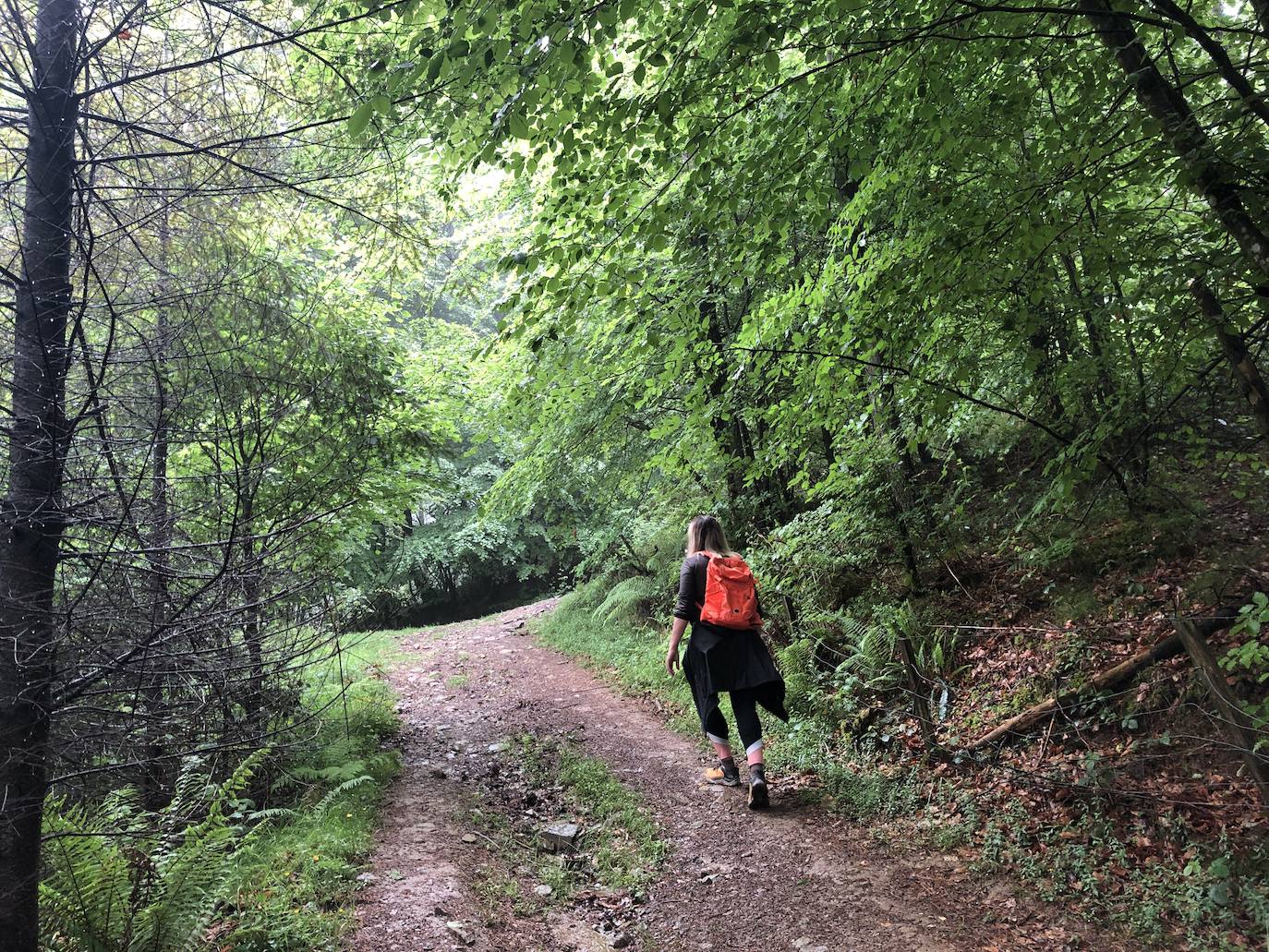 Fotos: Irukurutzeta, envuelta en un manto blanco