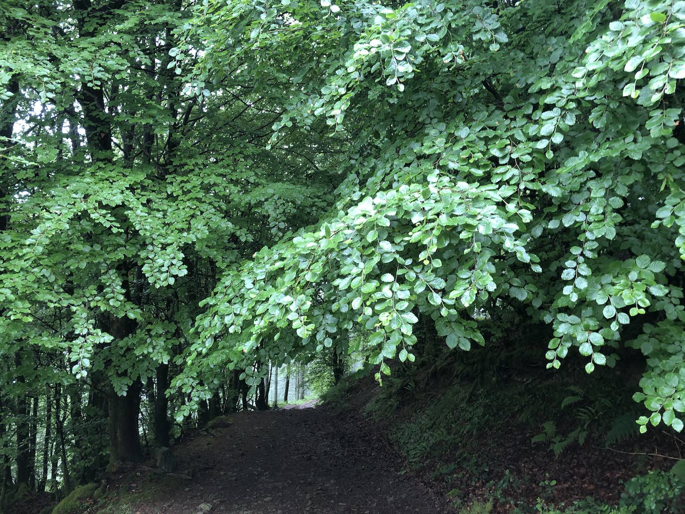 Fotos: Irukurutzeta, envuelta en un manto blanco