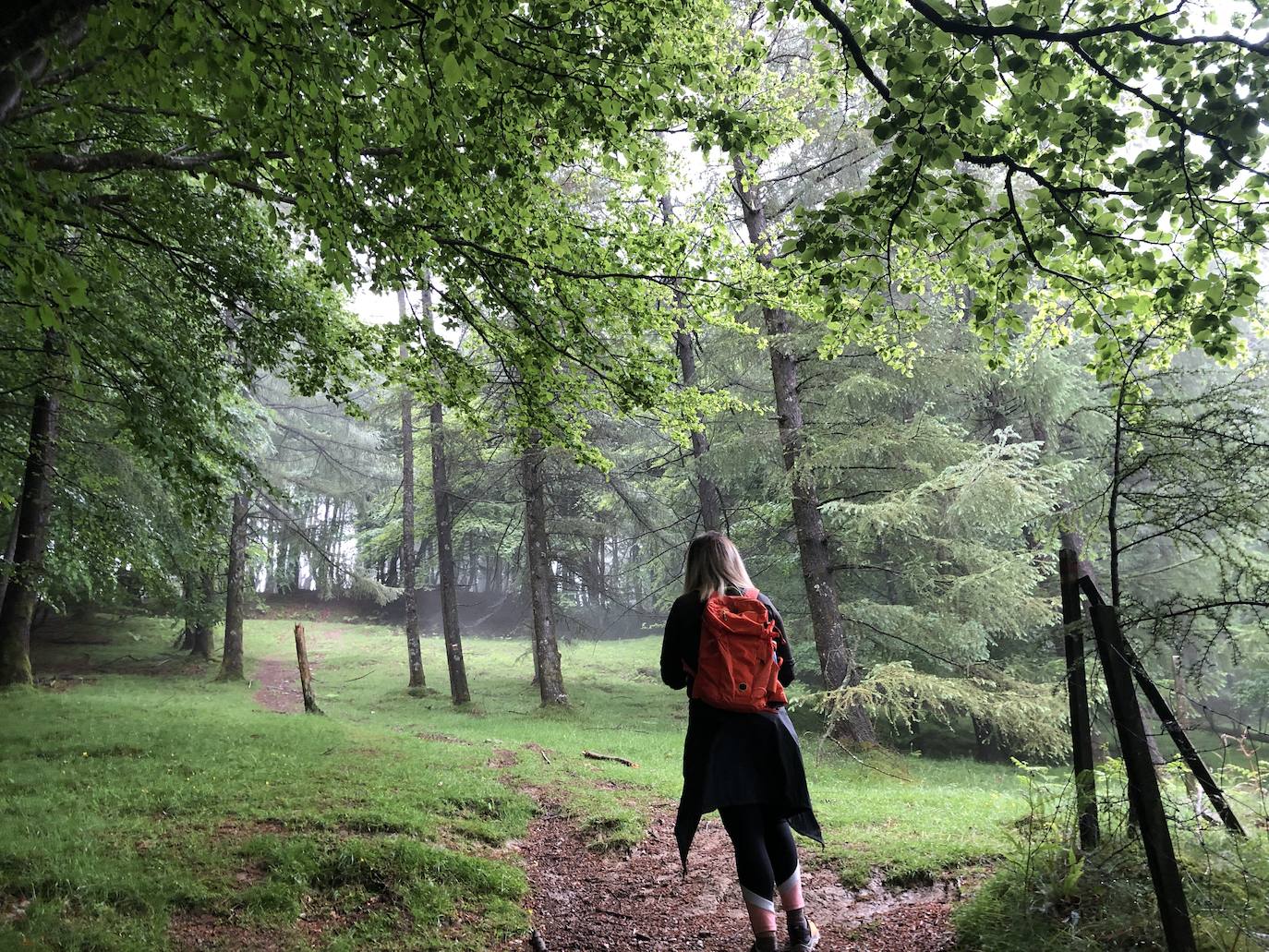 Fotos: Irukurutzeta, envuelta en un manto blanco