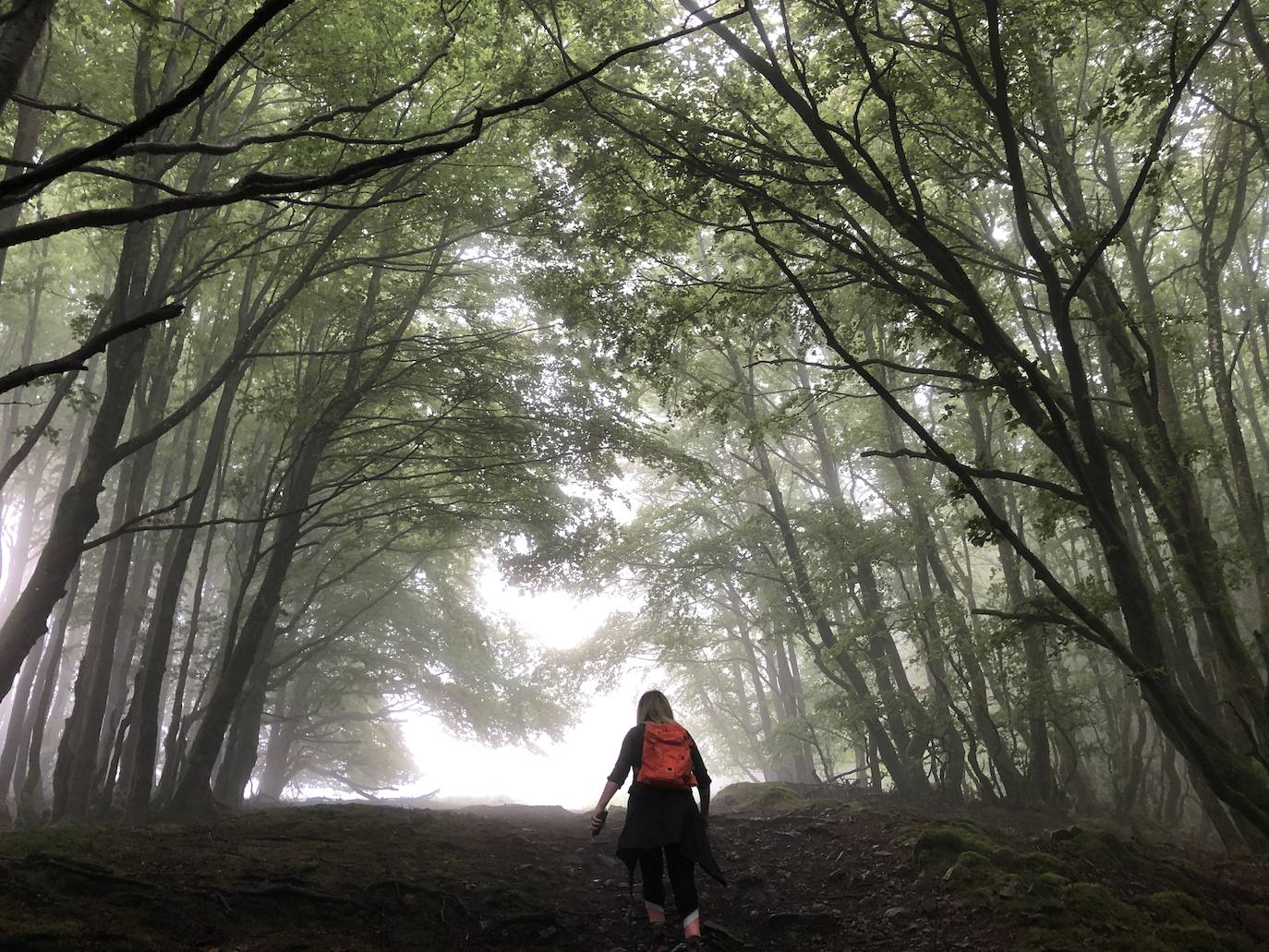 Fotos: Irukurutzeta, envuelta en un manto blanco
