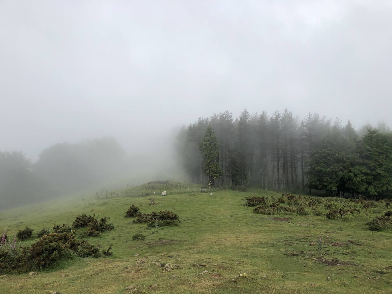 Fotos: Irukurutzeta, envuelta en un manto blanco