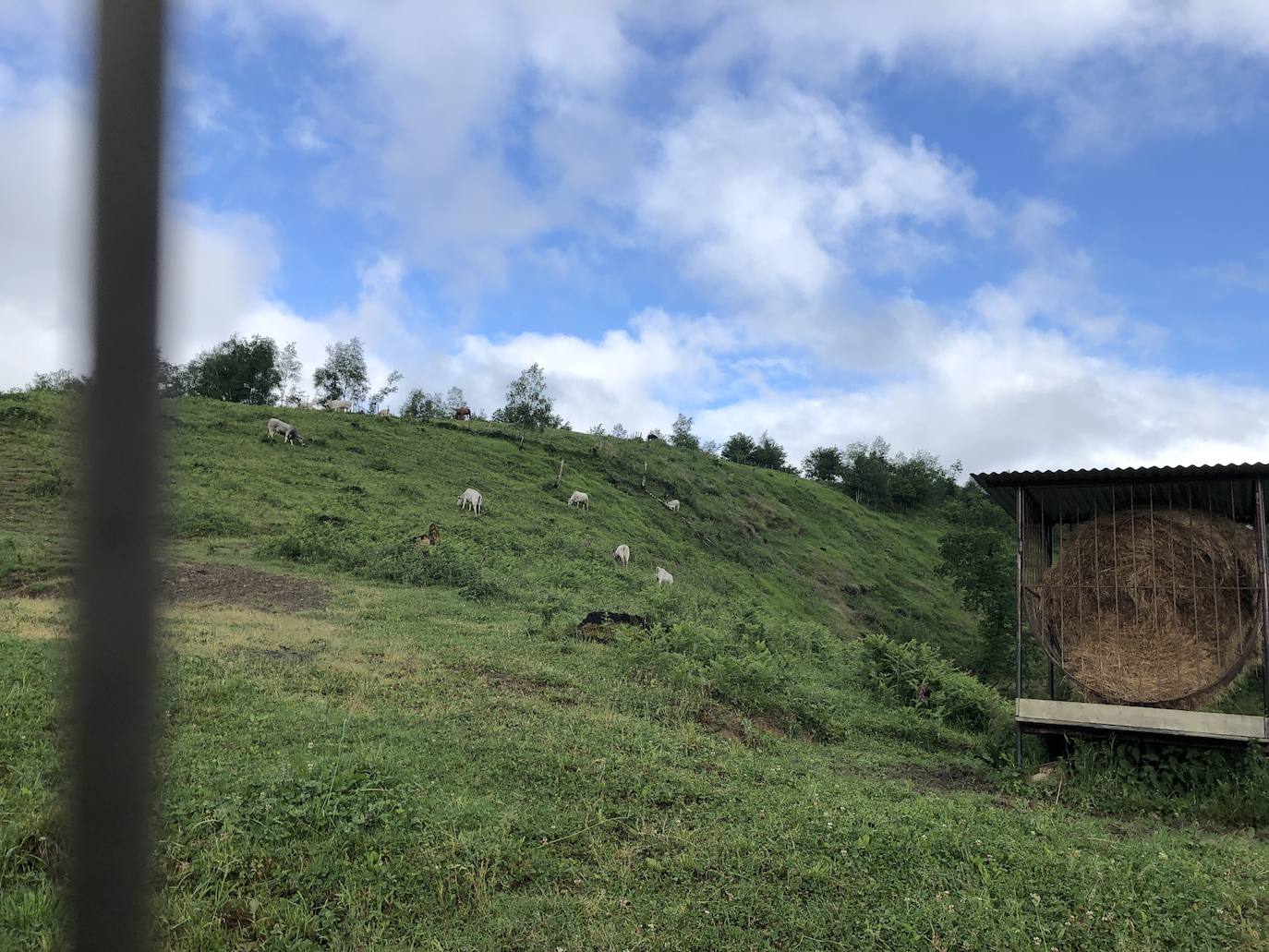 Fotos: Irukurutzeta, envuelta en un manto blanco