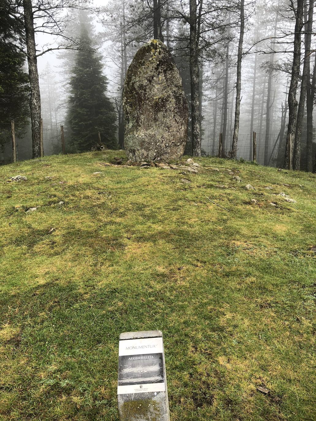 Fotos: Irukurutzeta, envuelta en un manto blanco