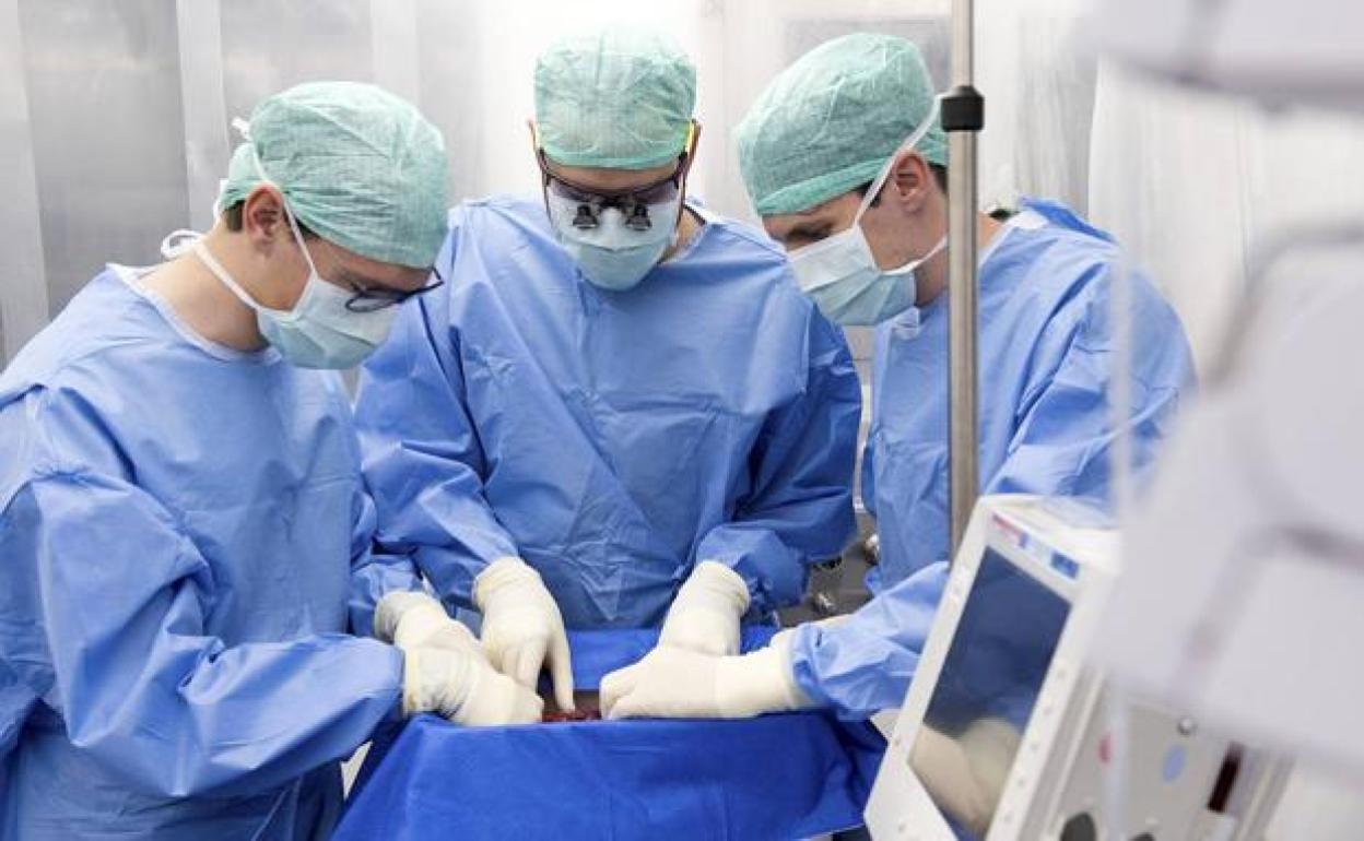 Trasplantan con éxito en Suiza el primer hígado mantenido durante días en una máquina regeneradora