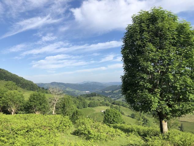 Fotos: Korrenegieta, el poder del viento