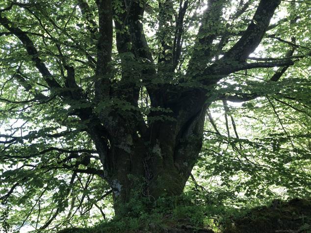 Fotos: Korrenegieta, el poder del viento