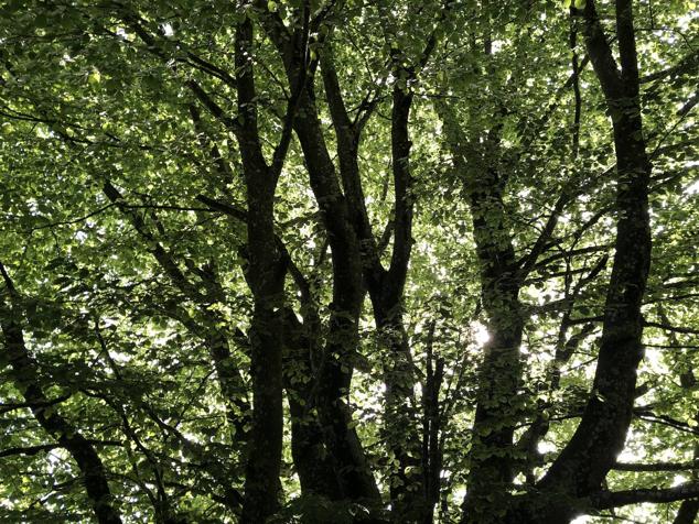 Fotos: Korrenegieta, el poder del viento