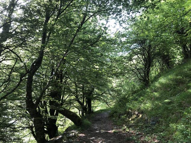 Fotos: Korrenegieta, el poder del viento