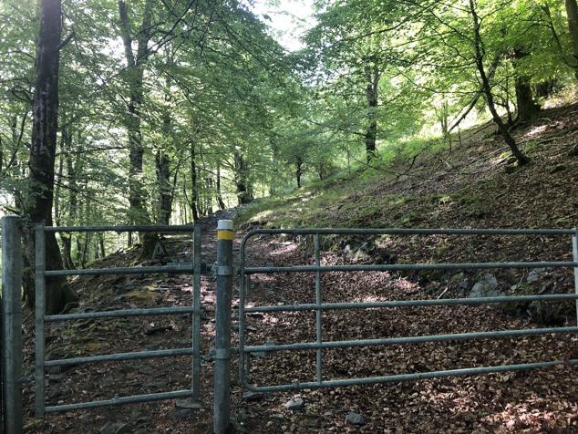 Fotos: Korrenegieta, el poder del viento