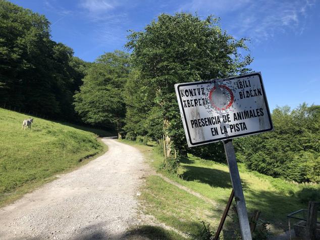 Fotos: Korrenegieta, el poder del viento