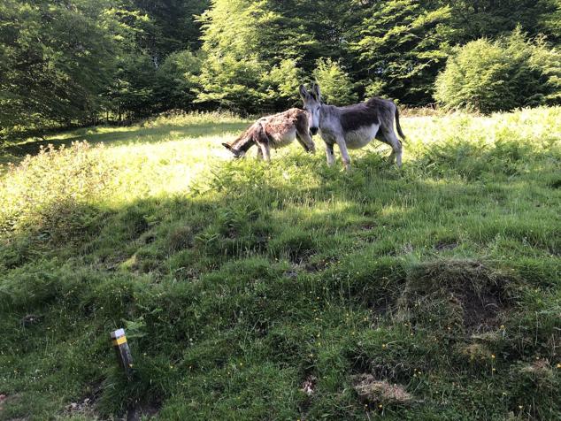 Fotos: Korrenegieta, el poder del viento