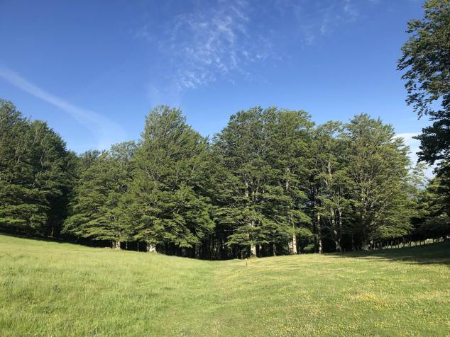 Fotos: Korrenegieta, el poder del viento