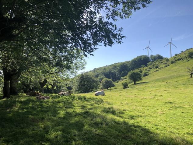 Fotos: Korrenegieta, el poder del viento