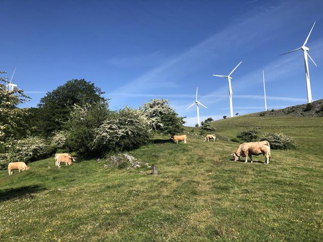Fotos: Korrenegieta, el poder del viento