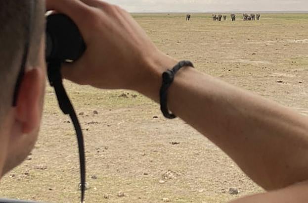 Illarra observa elefantes desde el todoterreno.