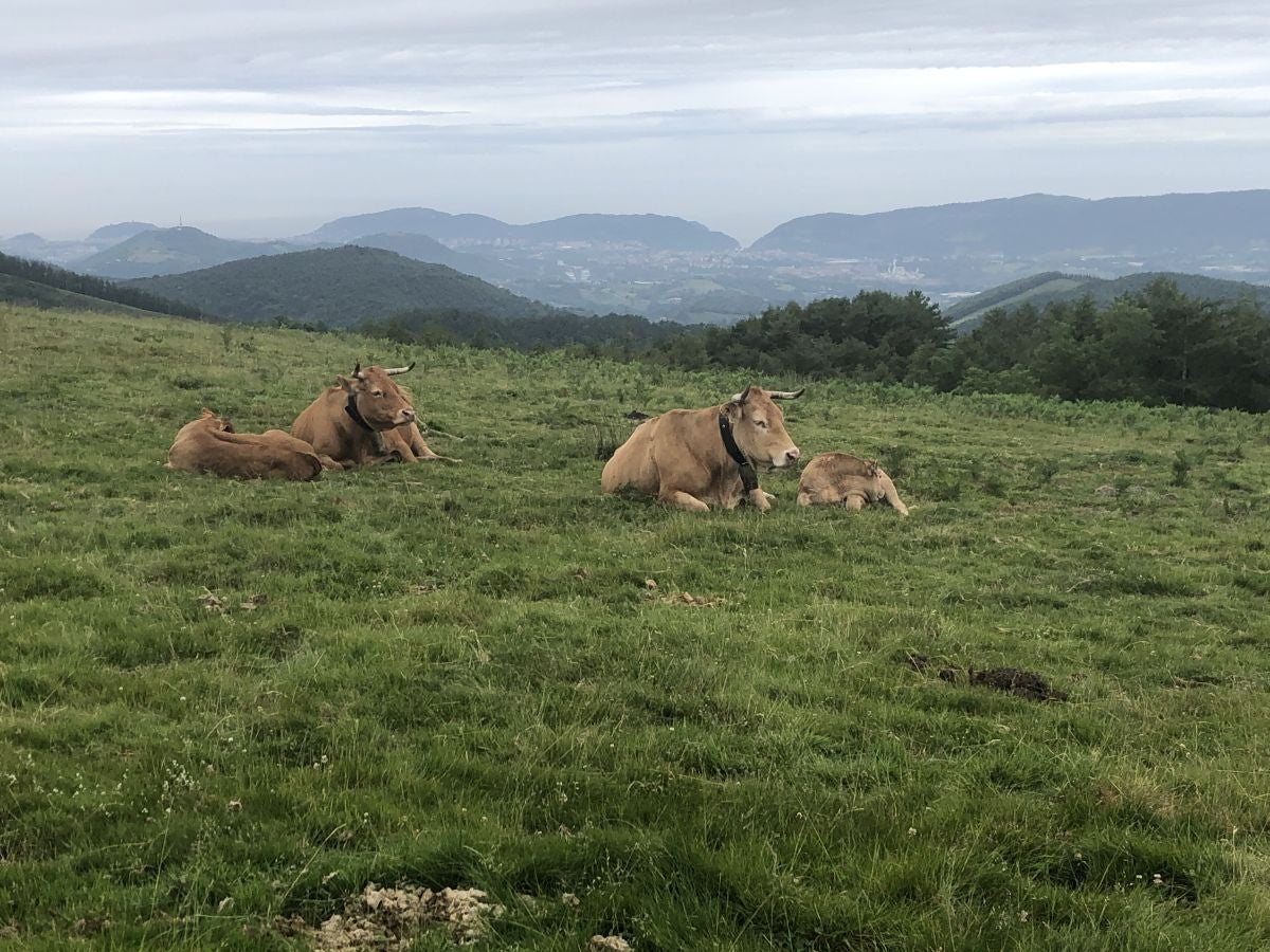 Fotos: Munagirre, magia natural por doquier