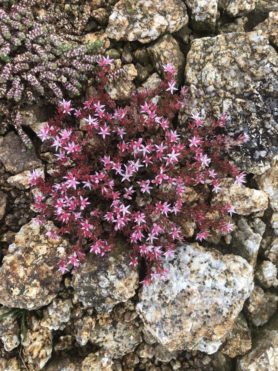Fotos: Munagirre, magia natural por doquier