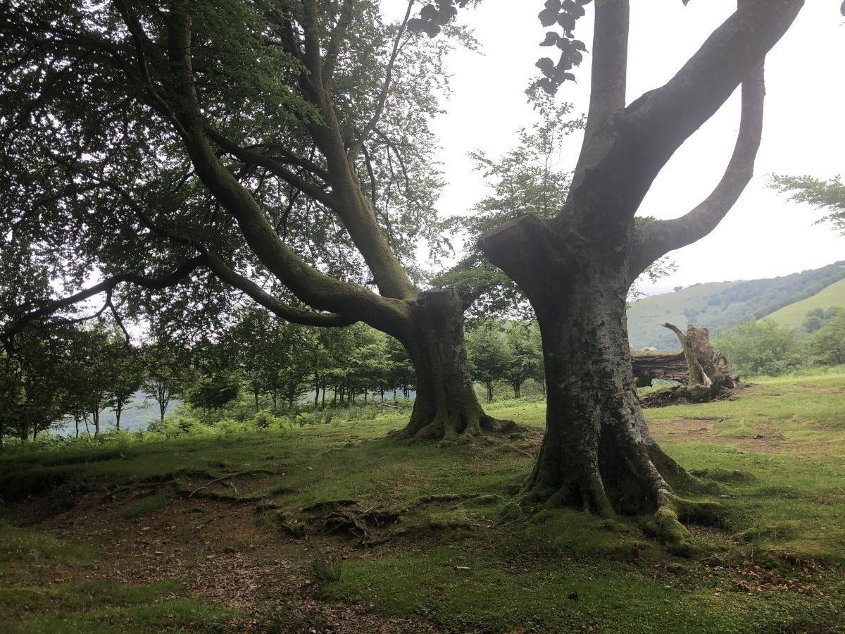 Fotos: Munagirre, magia natural por doquier