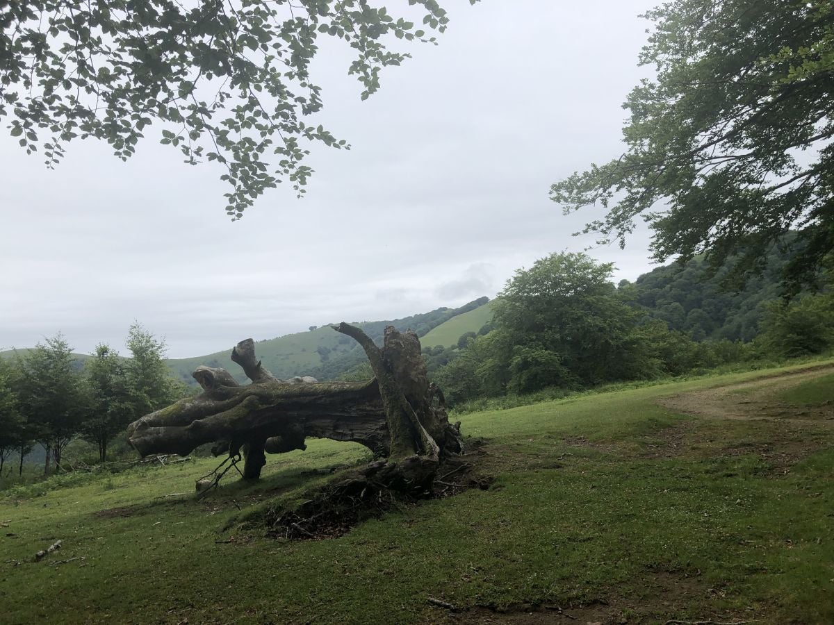 Fotos: Munagirre, magia natural por doquier