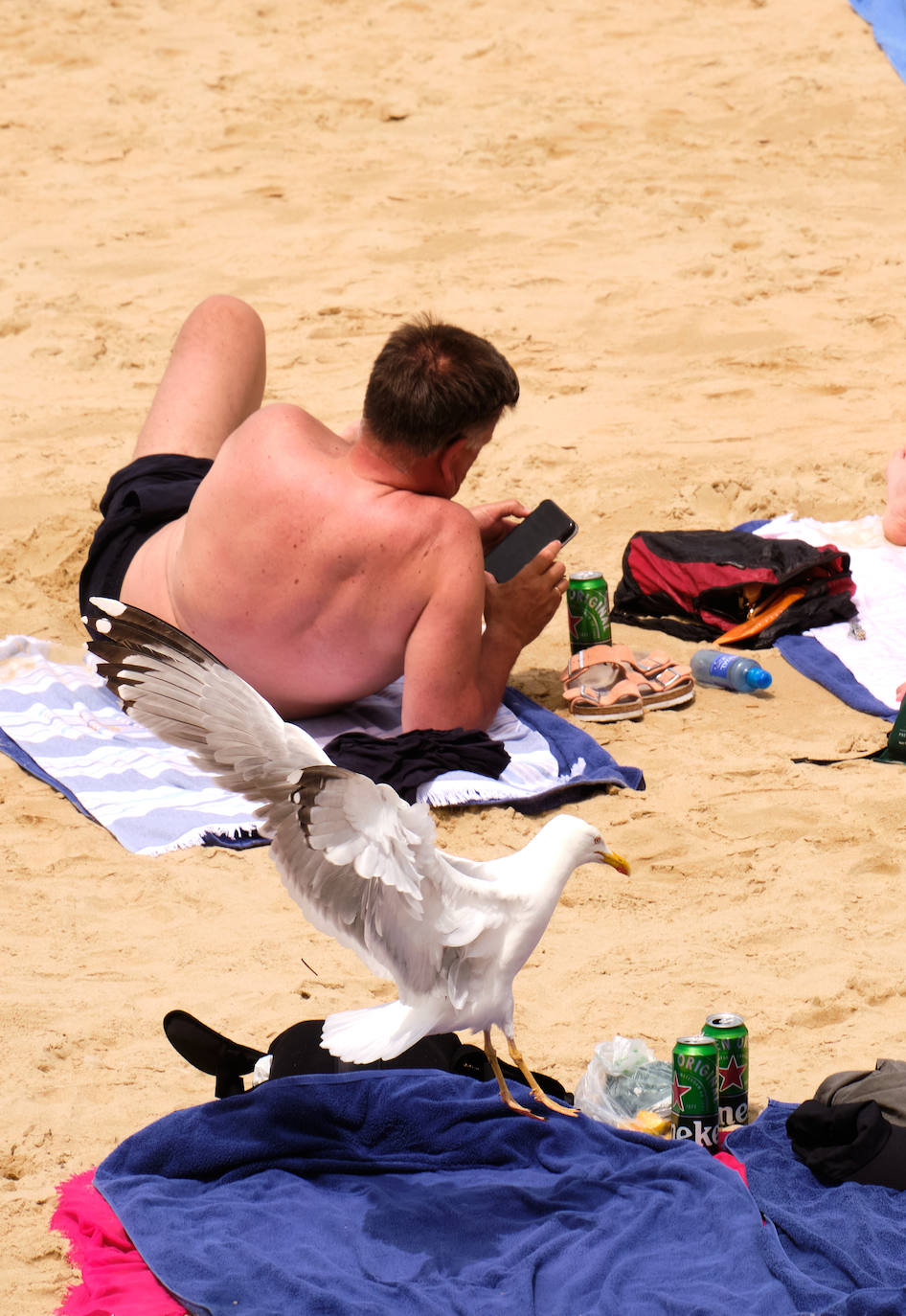 Fotos: Gipuzkoa en aviso amarillo: 30 grados y subiendo