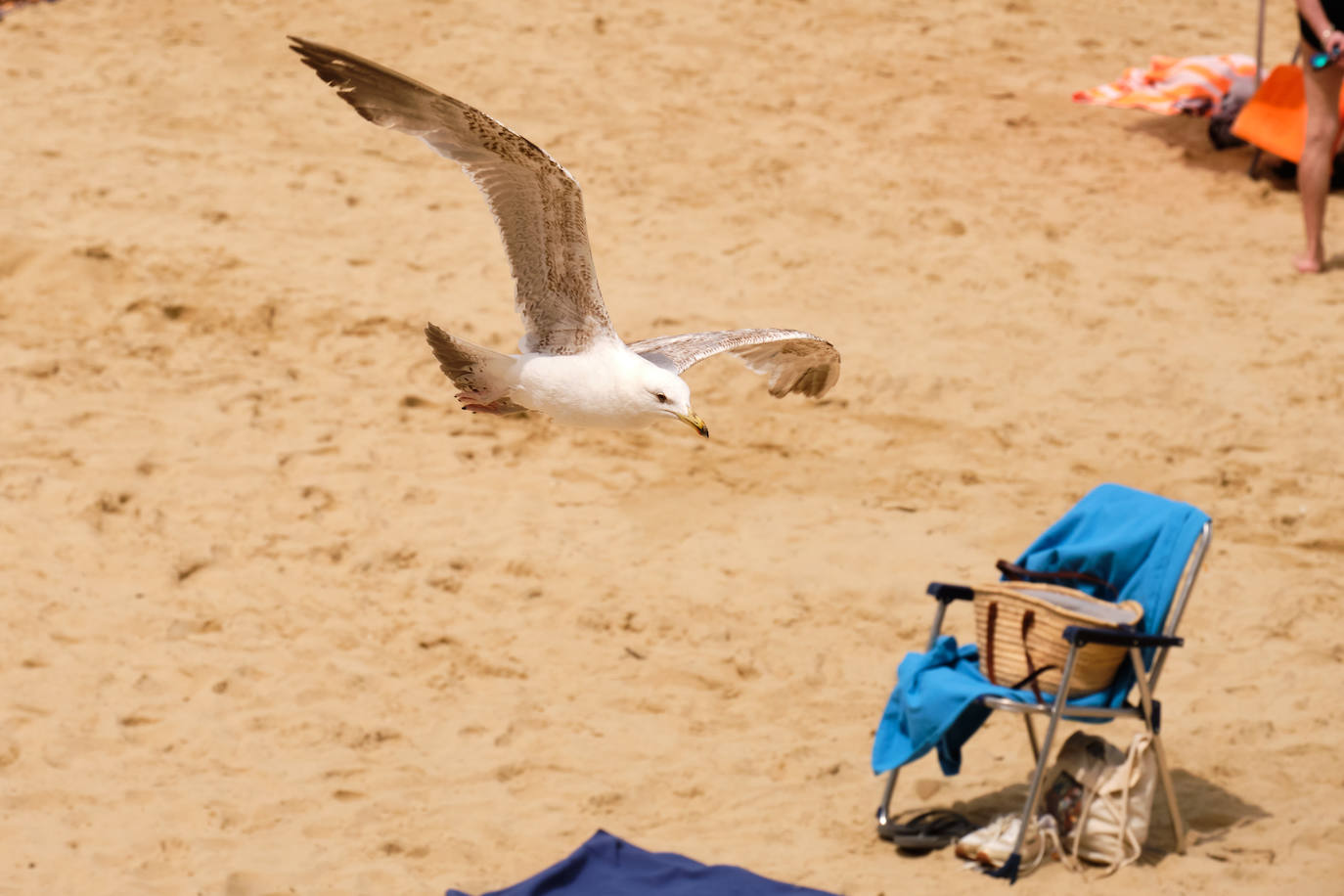 Fotos: Gipuzkoa en aviso amarillo: 30 grados y subiendo