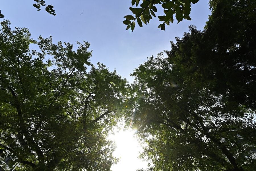 Fotos: Calor desde primera hora de la mañan