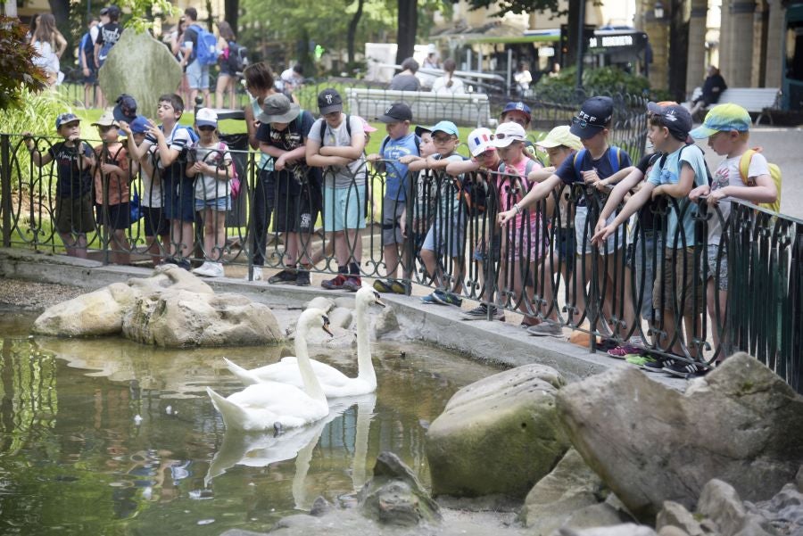 Fotos: Jornada de bochorno