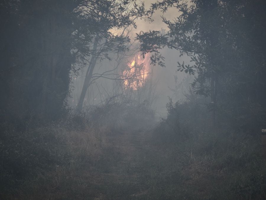 Fotos: Navarra en alerta por varios incendios