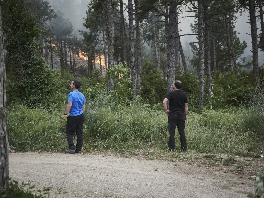 Fotos: Navarra en alerta por varios incendios