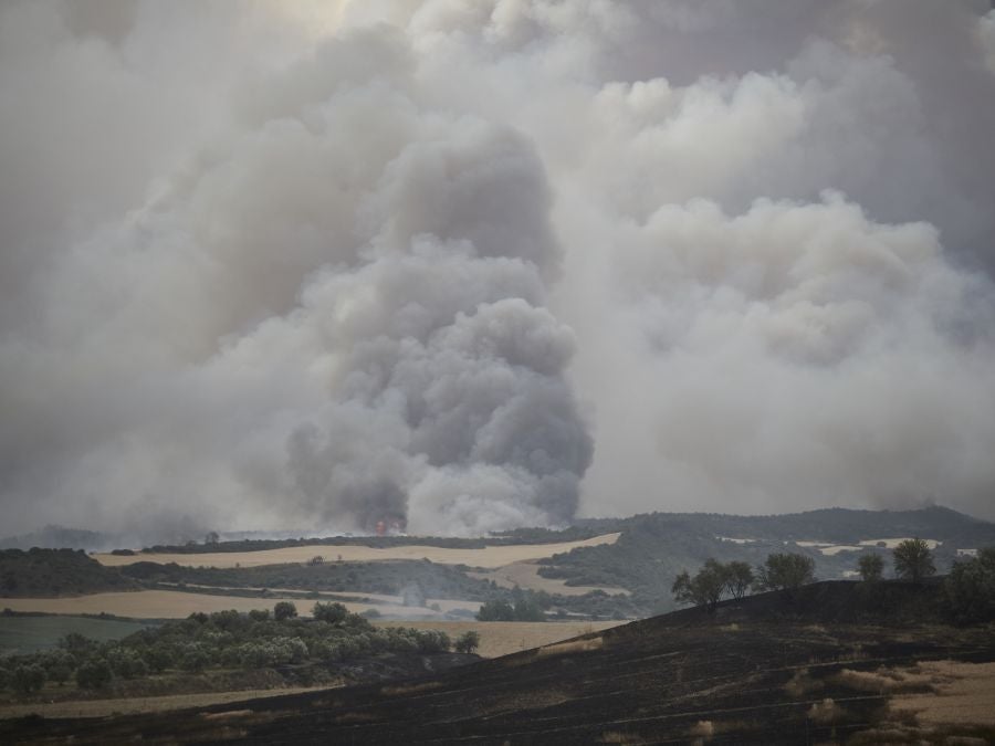 Fotos: Navarra en alerta por varios incendios