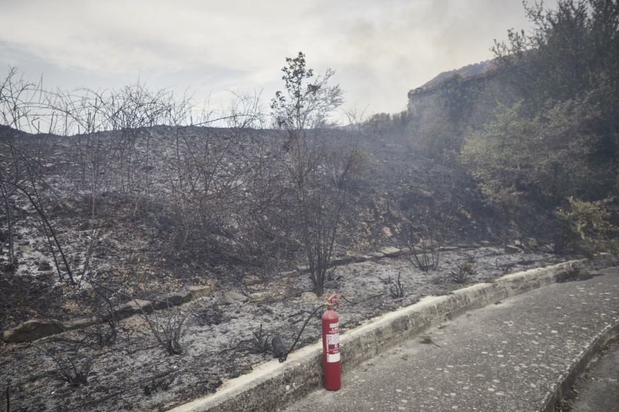 Fotos: Navarra en alerta por varios incendios