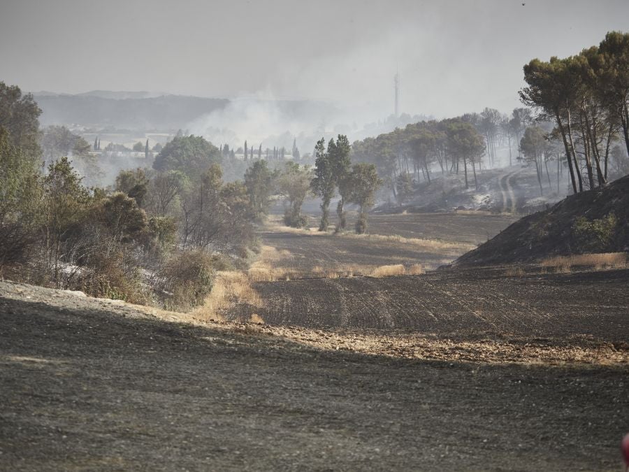 Fotos: Navarra en alerta por varios incendios