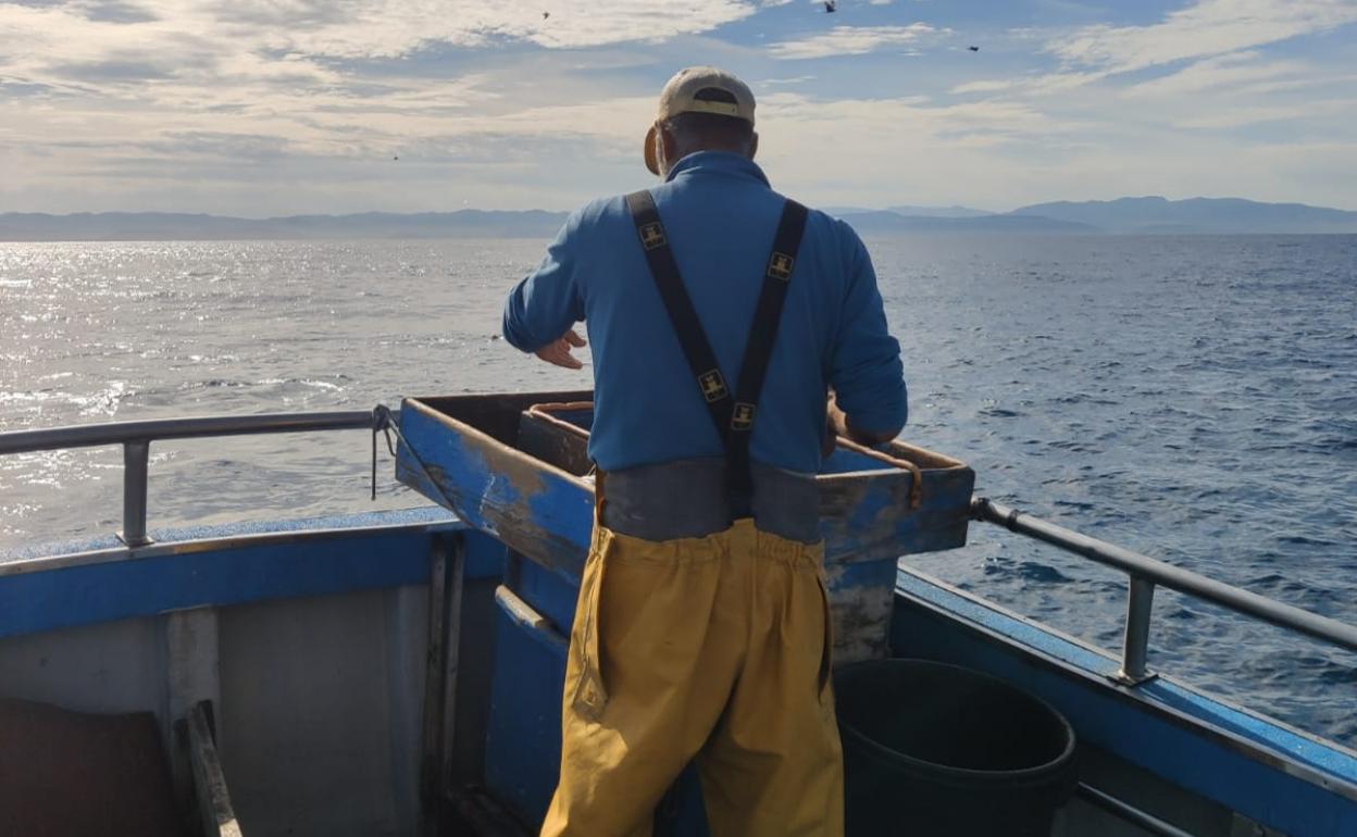 La perca de merluza es fundamental para la flota de bajura de Euskadi. 